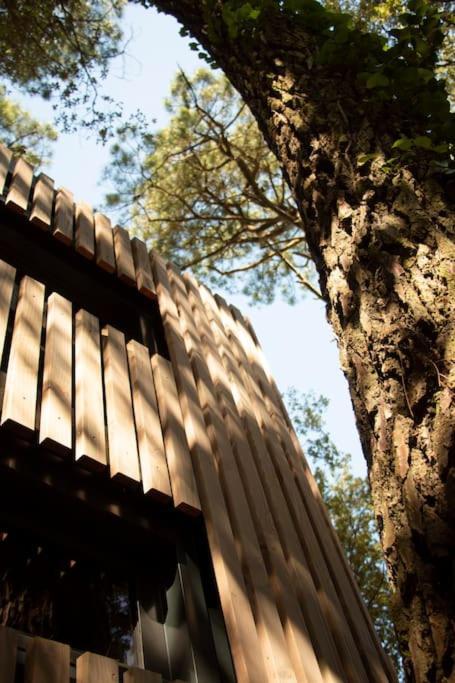 Vaimiti, Cabane Cosy Sous Les Pins سانت-بريفين-لي-بان المظهر الخارجي الصورة